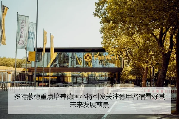 多特蒙德重点培养德国小将引发关注德甲名宿看好其未来发展前景